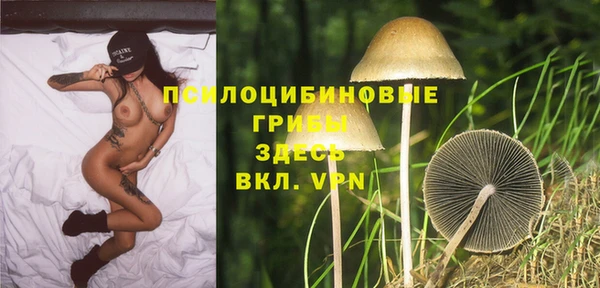 дживик Арсеньев