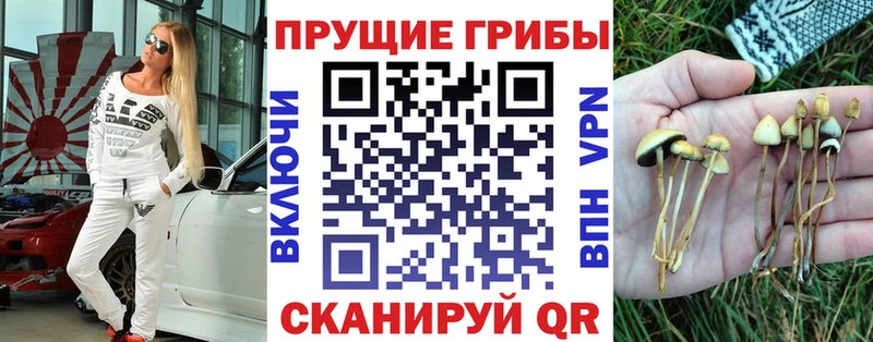 KRAKEN маркетплейс  где можно купить   Советск  Галлюциногенные грибы мицелий 
